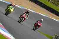 Lower Group Red Bikes
